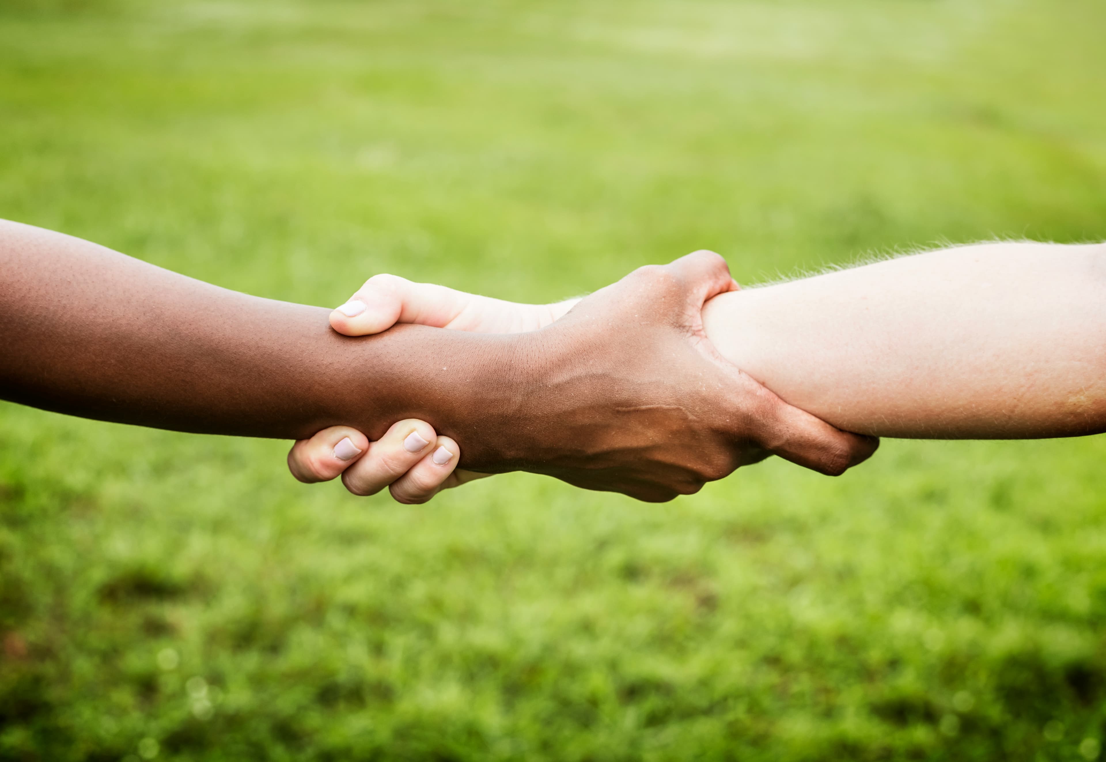 Illustration representing Social Solidarity sector